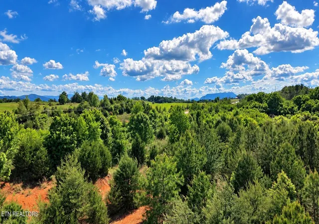 Photo 4 of Land for sale at Bluejay St, Parrottsville, TN 37843 | MLS# 1339807 | Listing updated on 2026-09-21