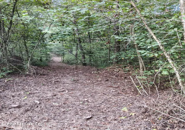 Photo 3 of Land for sale at Lot 10 Holly Dr, Pikeville, TN 37367 | MLS# 1344623 | Listing updated on 2026-09-05