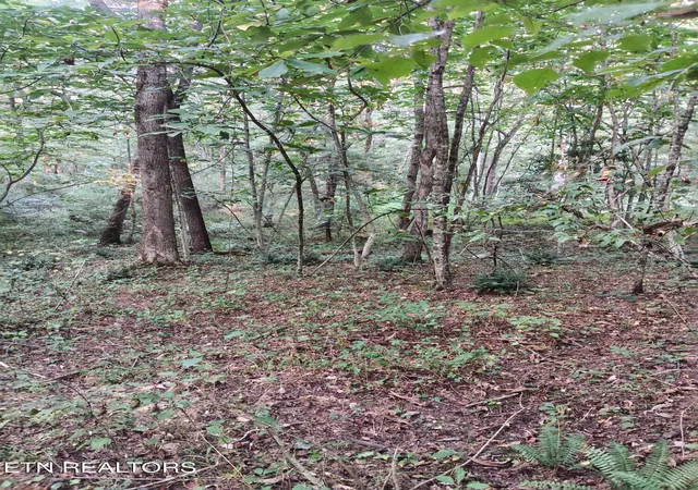 Photo 3 of Land for sale at Lot 10 Holly Dr, Pikeville, TN 37367 | MLS# 1344623 | Listing updated on 2026-09-05