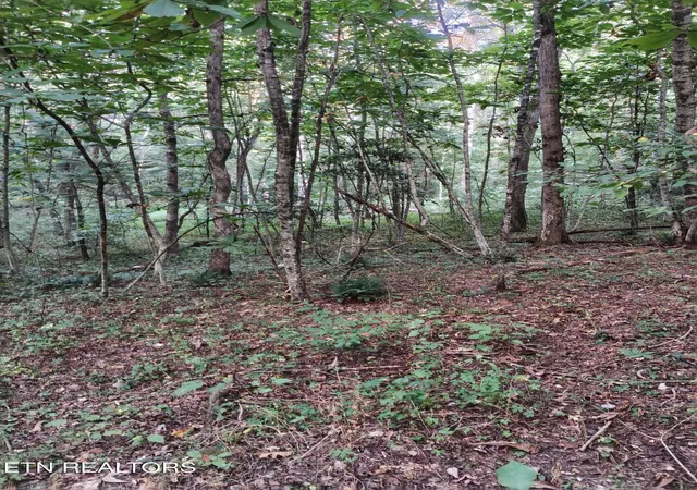 Photo 4 of Land for sale at Lot 10 Holly Dr, Pikeville, TN 37367 | MLS# 1344623 | Listing updated on 2026-09-05