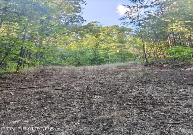 Photo 3 of Land for sale at Tract 4 3 Point Rd, Vonore, TN 37885 | MLS# 1344639 | Listing updated on 2026-09-19