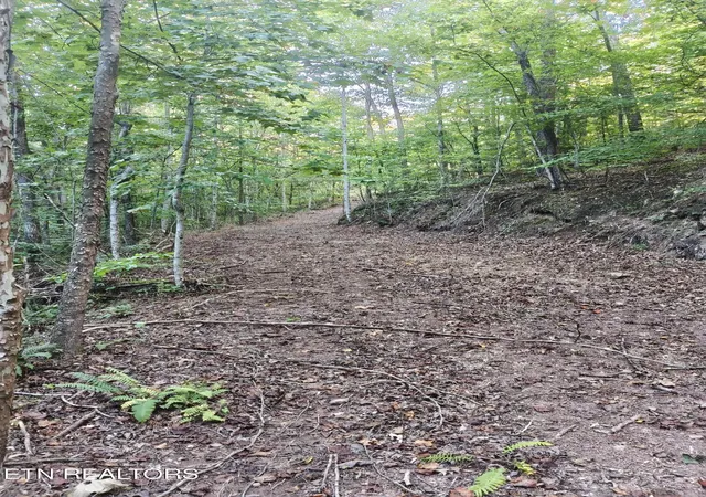 Photo 3 of Land for sale at Tract 4 3 Point Rd, Vonore, TN 37885 | MLS# 1344639 | Listing updated on 2026-09-19