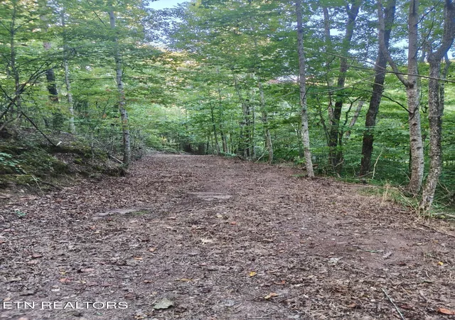 Photo 4 of Land for sale at Tract 4 3 Point Rd, Vonore, TN 37885 | MLS# 1344639 | Listing updated on 2026-09-19