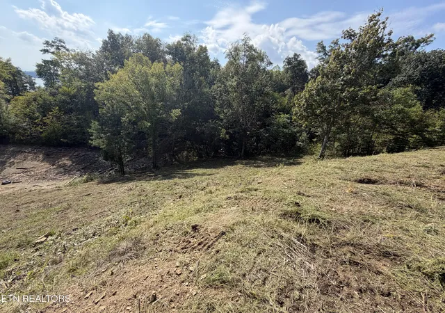 Photo 4 of Sale Pending at Lot 30 Stone Shore Way, Dandridge, TN 37725 | MLS# 1346844 | Listing updated on 2026-09-21