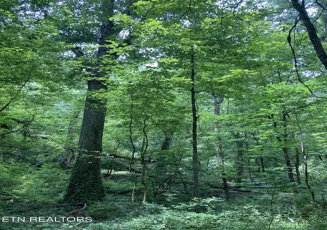 Photo 4 of Land for sale at 4921 Wise Hills Rd #1, Knoxville, TN 37920 | MLS# 1348268 | Listing updated on 2026-09-06