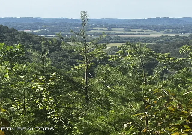Photo 1 of Land for sale at 157 Quarry Crk Rd #1-4, Tellico Plains, TN 37385 | MLS# 1348983 | Listing updated on 2026-09-02