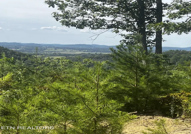 Photo 2 of Land for sale at 157 Quarry Crk Rd #1-4, Tellico Plains, TN 37385 | MLS# 1348983 | Listing updated on 2026-09-02