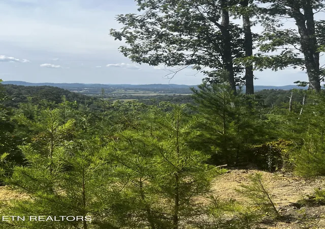Photo 3 of Land for sale at 157 Quarry Crk Rd #1-4, Tellico Plains, TN 37385 | MLS# 1348983 | Listing updated on 2026-09-02