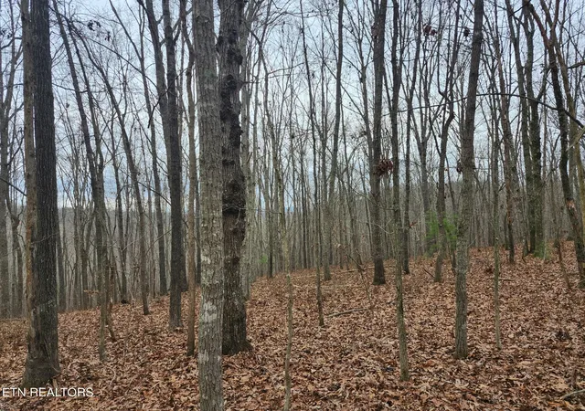 Photo 3 of Land for sale at Peacock Rd, Deer Lodge, TN 37726 | MLS# 1349959 | Listing updated on 2026-09-18
