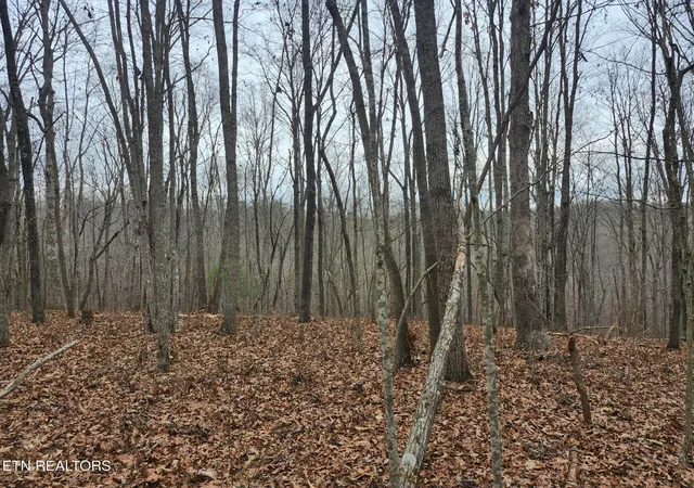Photo 4 of Land for sale at Peacock Rd, Deer Lodge, TN 37726 | MLS# 1349959 | Listing updated on 2026-09-18