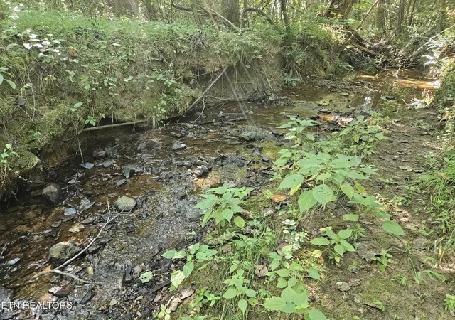 Photo 2 of Land for sale at 2695 Cane Crk Rd, Cookeville, TN 38506 | MLS# 1354186 | Listing updated on 2026-09-03