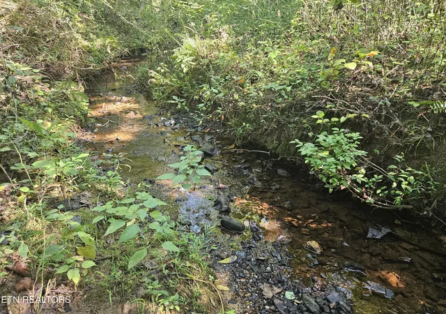 Photo 3 of Land for sale at 2695 Cane Crk Rd, Cookeville, TN 38506 | MLS# 1354186 | Listing updated on 2026-09-03