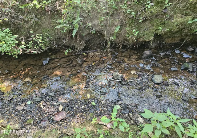 Photo 4 of Land for sale at 2695 Cane Crk Rd, Cookeville, TN 38506 | MLS# 1354186 | Listing updated on 2026-09-03