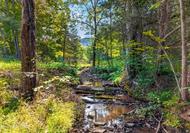 Photo 2 of Land for sale at 4885 Highway 131, Washburn, TN 37888 | MLS# 1355367 | Listing updated on 2026-09-13