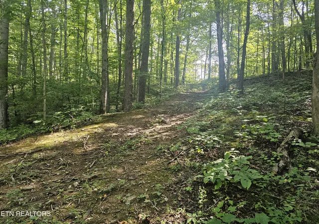 Photo 1 of Sale Pending at Lot 2 Franklin Way, Sevierville, TN 37876 | MLS# 1353968 | Listing updated on 2026-10-05