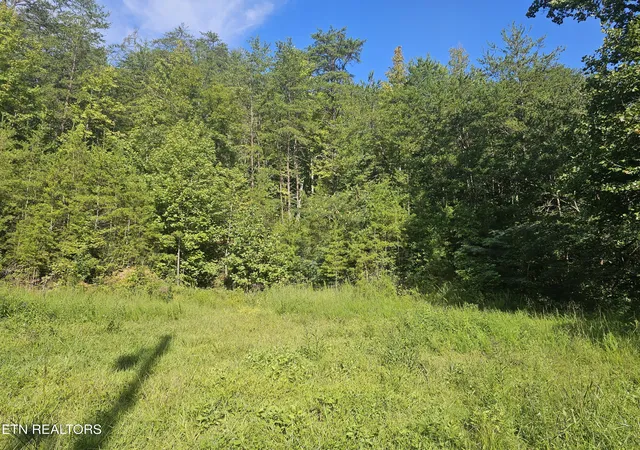 Photo 2 of Land for sale at Lot 3 Franklin Way, Sevierville, TN 37876 | MLS# 1353974 | Listing updated on 2026-09-02