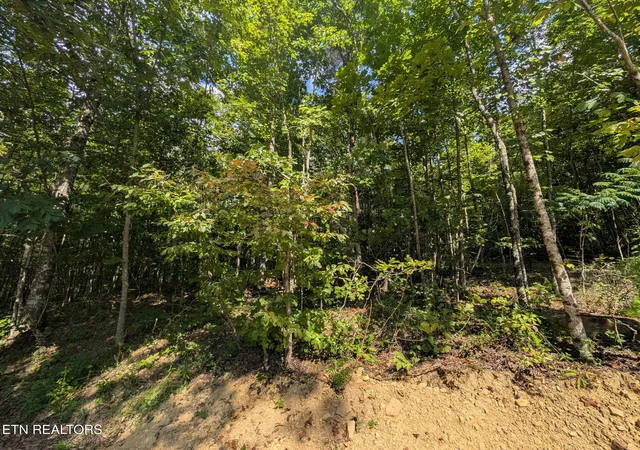 Photo 1 of Sale Pending at Lookout Dr Lot 63, Crossville, TN 38572 | MLS# 1354134 | Listing updated on 2026-09-16