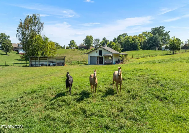 Photo 4 of Single family home for sale at 1910 Smoky View Cir, Maryville, TN 37801 | MLS# 1354616 | Listing updated on 2026-09-05