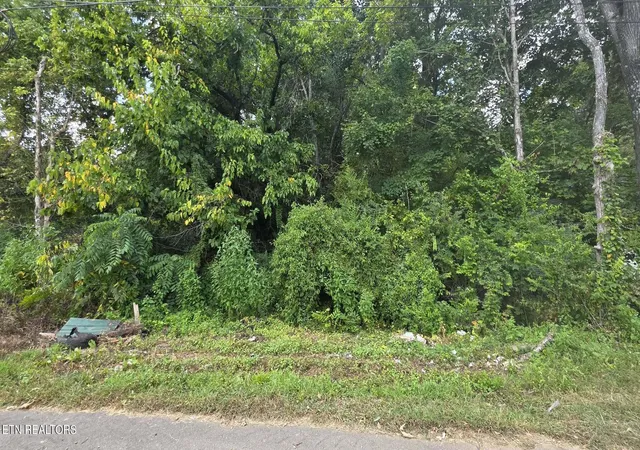Photo 1 of Land for sale at 1233 Ohio Ave, Knoxville, TN 37921 | MLS# 1353949 | Listing updated on 2026-09-13