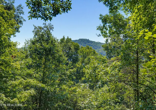 Photo 3 of Single family home for sale at 2934 Heavens Path Way, Sevierville, TN 37862 | MLS# 1354174 | Listing updated on 2026-09-21