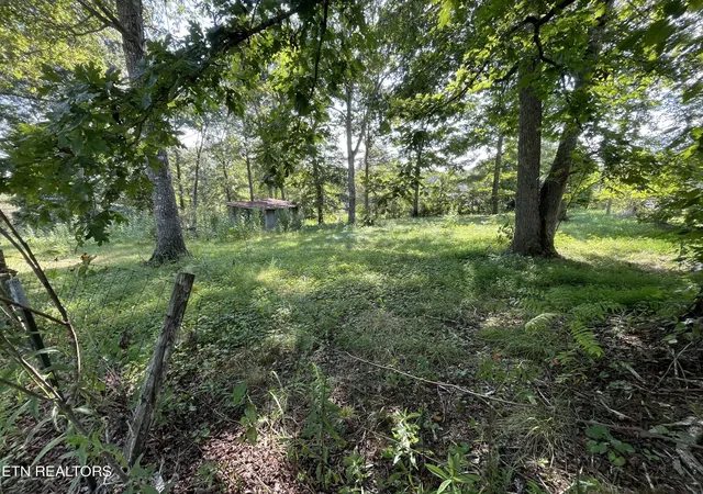 Photo 4 of Sale Pending at 365 Wallop Ln, Crossville, TN 38571 | MLS# 1354013 | Listing updated on 2026-09-10