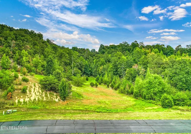 Photo 1 of Land for sale at Lot W 398 Mountain Dr, Rockwood, TN 37854 | MLS# 1354023 | Listing updated on 2026-09-05