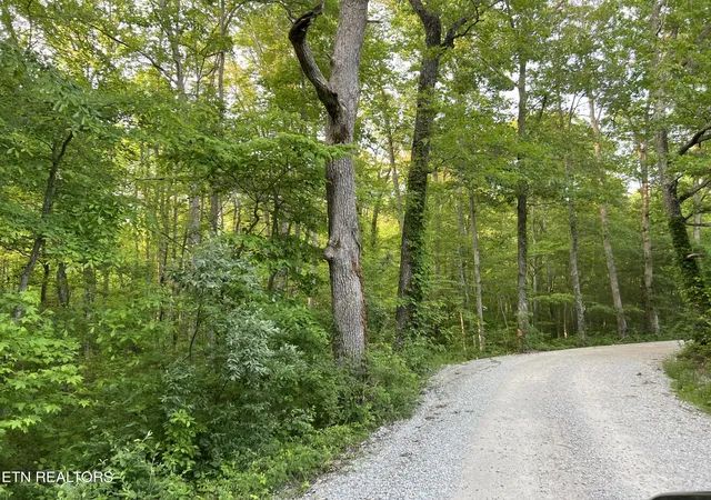 Photo 1 of Land for sale at Carson Town Rd, Sunbright, TN 37872 | MLS# 1354002 | Listing updated on 2026-09-01