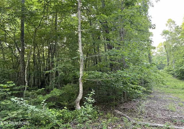 Photo 2 of Land for sale at Carson Town Rd, Sunbright, TN 37872 | MLS# 1354002 | Listing updated on 2026-09-01