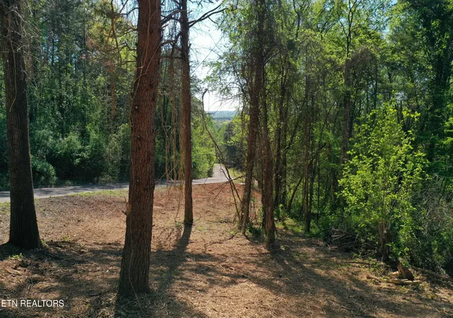 Photo 3 of Land for sale at Elm Ln Lot 16, Sweetwater, TN 37826 | MLS# 1354007 | Listing updated on 2026-09-01