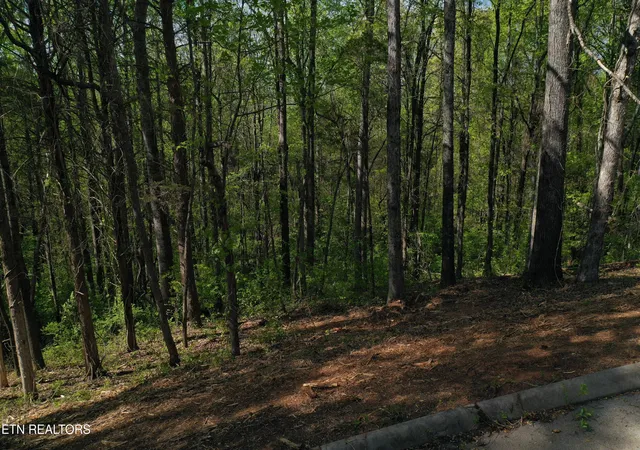 Photo 4 of Land for sale at Elm Ln Lot 16, Sweetwater, TN 37826 | MLS# 1354007 | Listing updated on 2026-09-01