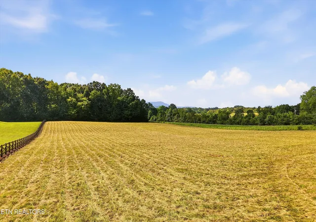 Photo 2 of Land for sale at County Rd 909 #053.00, Etowah, TN 37331 | MLS# 1354015 | Listing updated on 2026-09-10