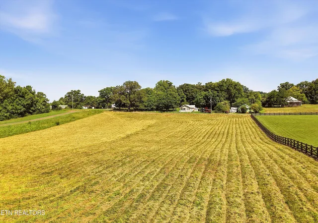Photo 3 of Land for sale at County Rd 909 #053.00, Etowah, TN 37331 | MLS# 1354015 | Listing updated on 2026-09-10