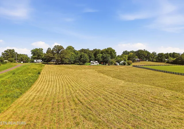 Photo 4 of Land for sale at County Rd 909 #053.00, Etowah, TN 37331 | MLS# 1354015 | Listing updated on 2026-09-10