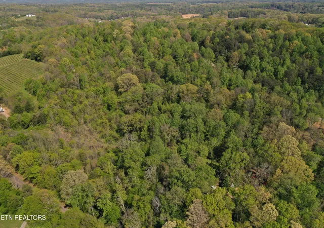 Photo 4 of Land for sale at Lot 17 Elm Ln, Sweetwater, TN 37874 | MLS# 1354016 | Listing updated on 2026-09-01
