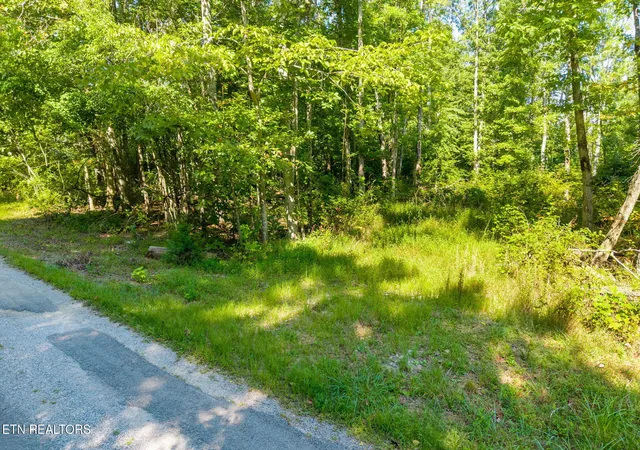 Photo 4 of Land for sale at 5ac Robbins Dr, Crossville, TN 38572 | MLS# 1354092 | Listing updated on 2026-09-02