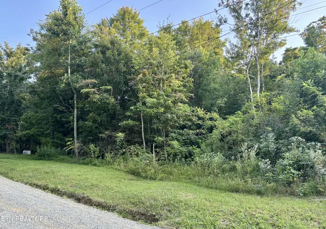 Photo 3 of Land for sale at Wintergreen Ln, Cosby, TN 37722 | MLS# 1354028 | Listing updated on 2026-09-02