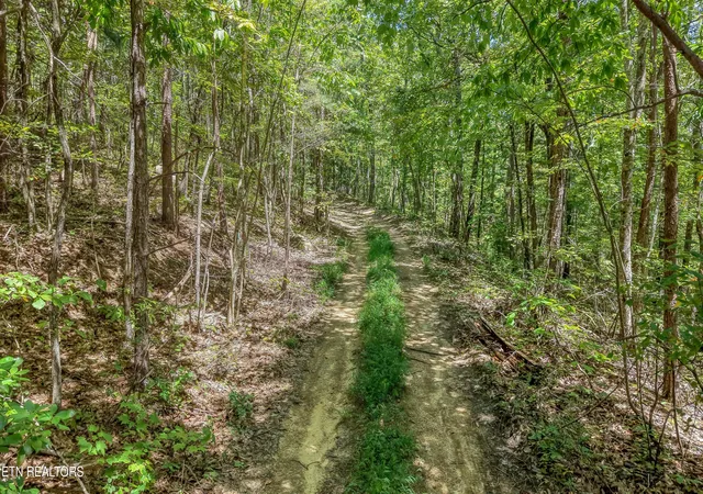 Photo 2 of Land for sale at Avens Ln, Tallassee, TN 37878 | MLS# 1354199 | Listing updated on 2026-09-04