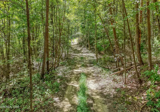 Photo 3 of Land for sale at Avens Ln, Tallassee, TN 37878 | MLS# 1354199 | Listing updated on 2026-09-04