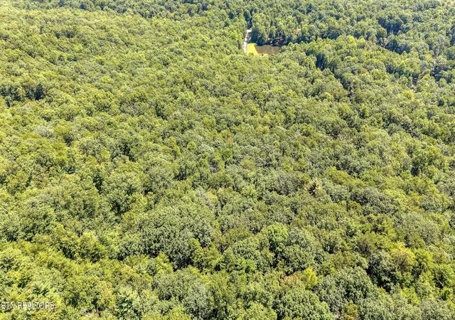 Photo 4 of Land for sale at Avens Ln, Tallassee, TN 37878 | MLS# 1354199 | Listing updated on 2026-09-04