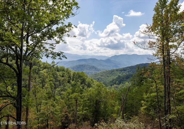Land for sale at 1080 Hembree Holw Rd, Townsend, TN 37882 | MLS# 1354065
