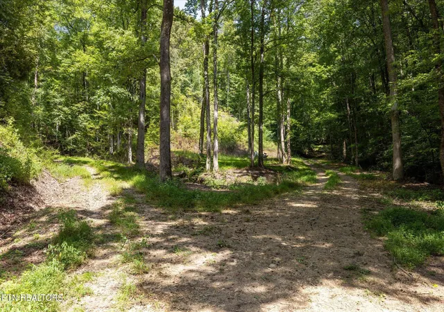 Photo 2 of Land for sale at 1080 Hembree Holw Rd, Townsend, TN 37882 | MLS# 1354065 | Listing updated on 2026-09-02