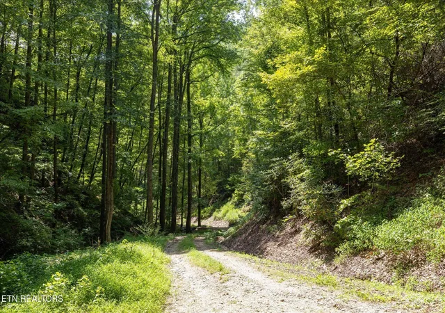 Photo 3 of Land for sale at 1080 Hembree Holw Rd, Townsend, TN 37882 | MLS# 1354065 | Listing updated on 2026-09-02