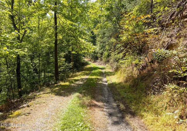 Photo 4 of Land for sale at 1080 Hembree Holw Rd, Townsend, TN 37882 | MLS# 1354065 | Listing updated on 2026-09-02