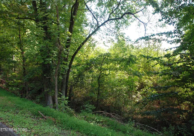 Land for sale at 222/232/0 Vann Dr, Harriman, TN 37748 | MLS# 1354094