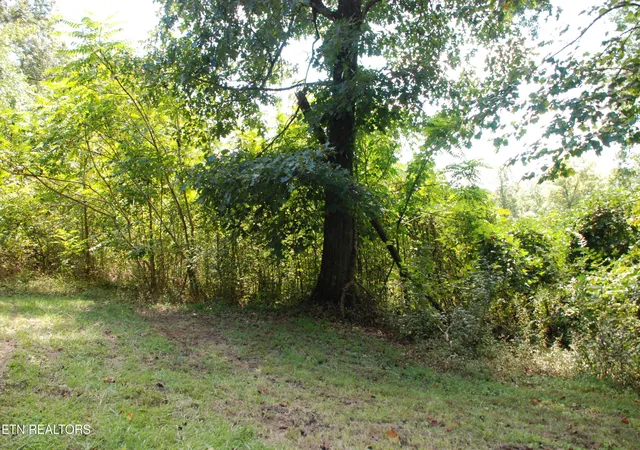 Photo 2 of Land for sale at 222/232/0 Vann Dr, Harriman, TN 37748 | MLS# 1354094 | Listing updated on 2026-09-17