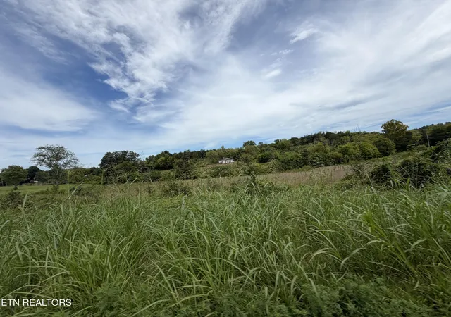 Photo 3 of Land for sale at 0 E Hwy2570, Dandridge, TN 37725 | MLS# 1354298 | Listing updated on 2026-09-14