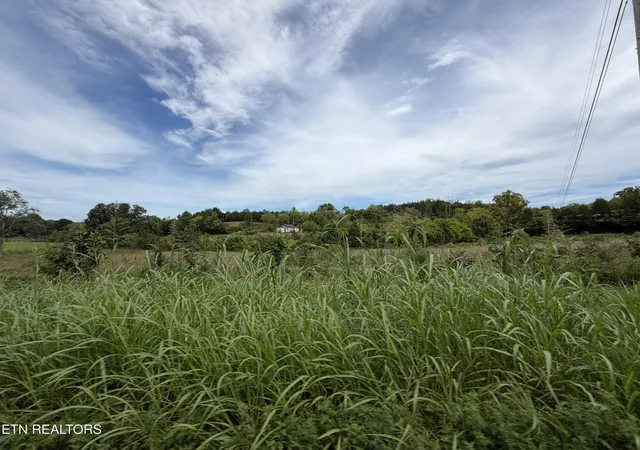 Photo 4 of Land for sale at 0 E Hwy2570, Dandridge, TN 37725 | MLS# 1354298 | Listing updated on 2026-09-14