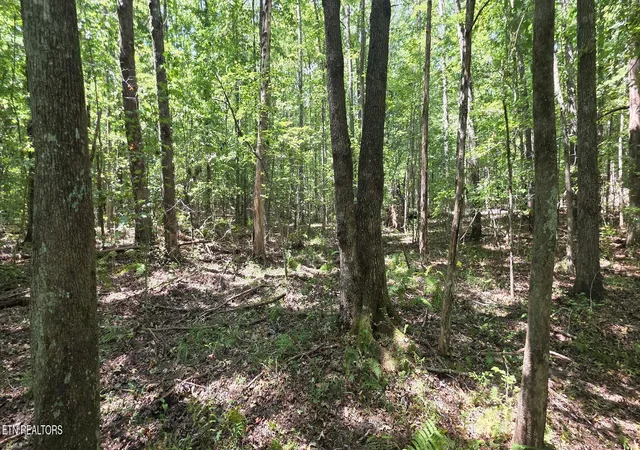 Photo 1 of Land for sale at W Laurel Way, Monterey, TN 38574 | MLS# 1354995 | Listing updated on 2026-09-10