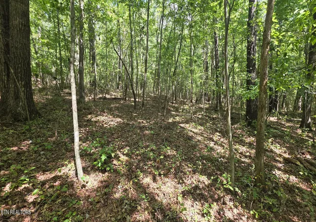 Photo 3 of Land for sale at W Laurel Way, Monterey, TN 38574 | MLS# 1354995 | Listing updated on 2026-09-10