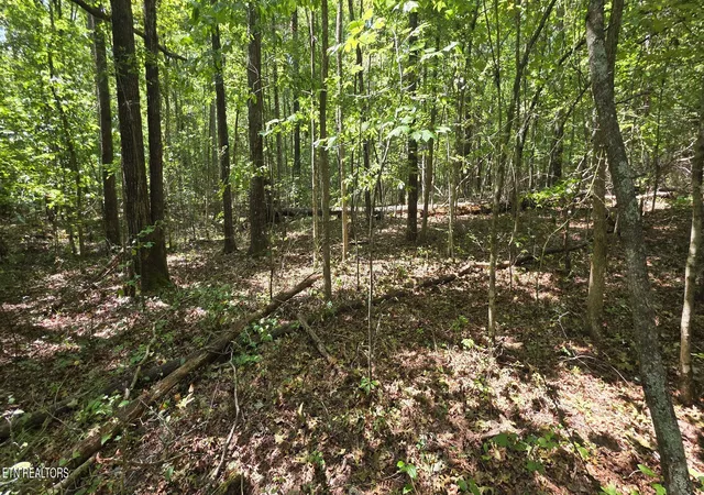 Photo 3 of Land for sale at W Laurel Way, Monterey, TN 38574 | MLS# 1354995 | Listing updated on 2026-09-10